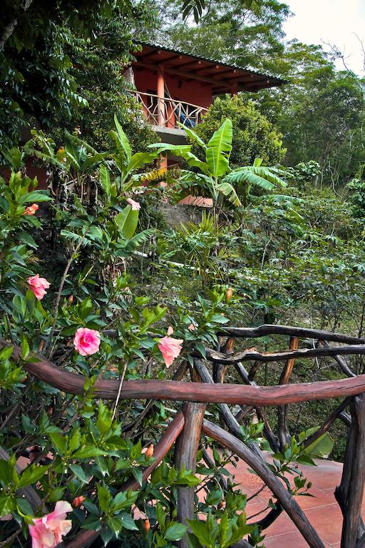 Casa Madre Tierra Hotel Вилкабамба Екстериор снимка